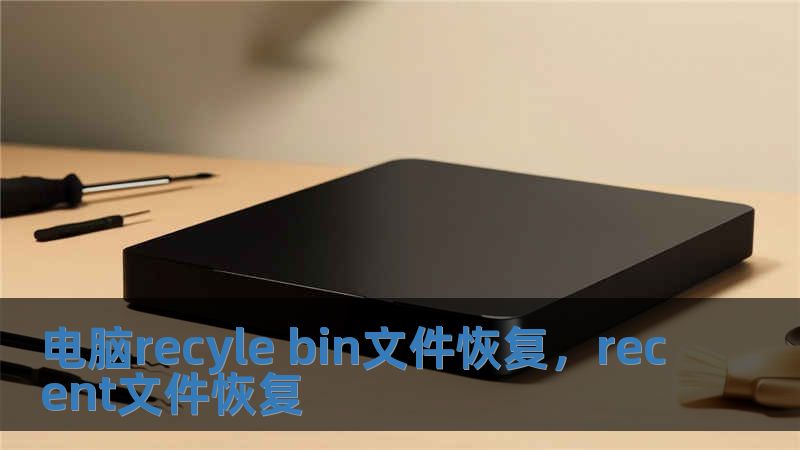電腦recyle bin文件恢復，recent文件恢復