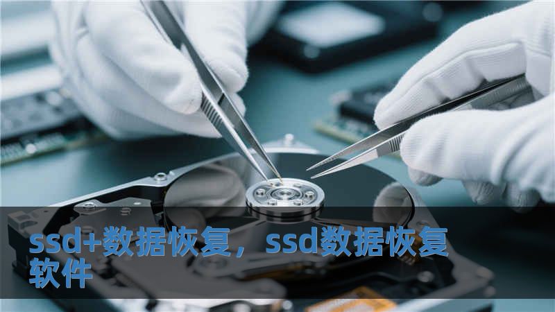ssd+數據恢復，ssd數據恢復軟件