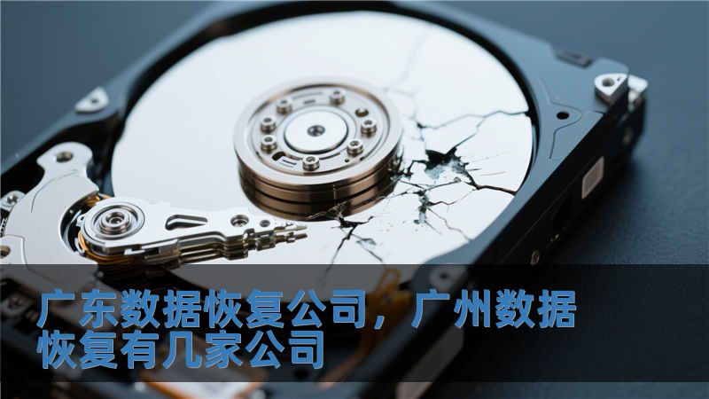 廣東數據恢復公司，廣州數據恢復有幾家公司