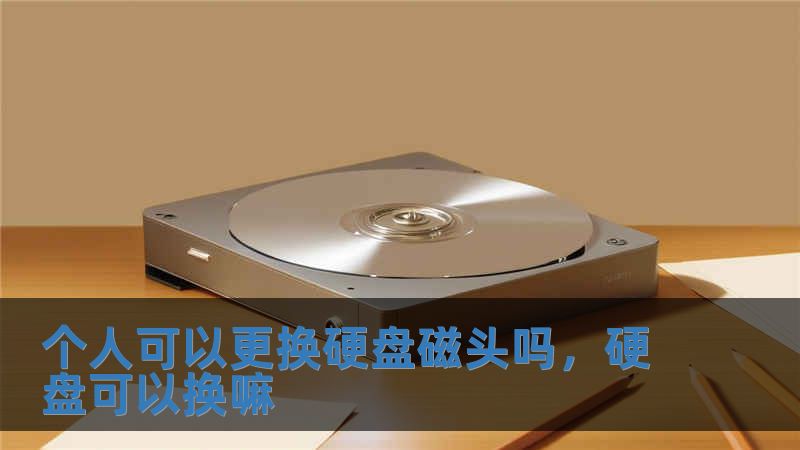 個人可以更換硬盤磁頭嗎，硬盤可以換嘛