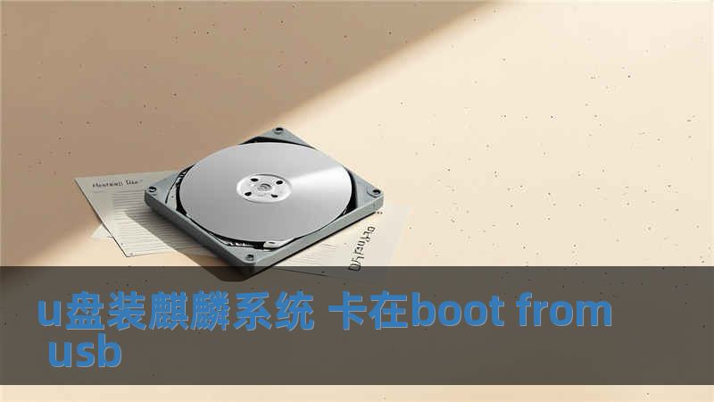 u盤裝麒麟系統 卡在boot from usb