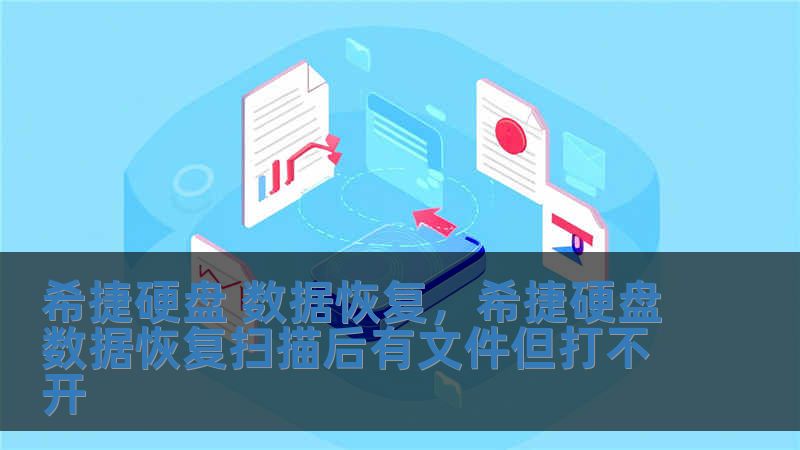 希捷硬盤 數據恢復，希捷硬盤數據恢復掃描后有文件但打不開
