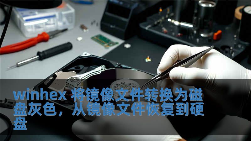 winhex 將鏡像文件轉換為磁盤灰色，從鏡像文件恢復到硬盤