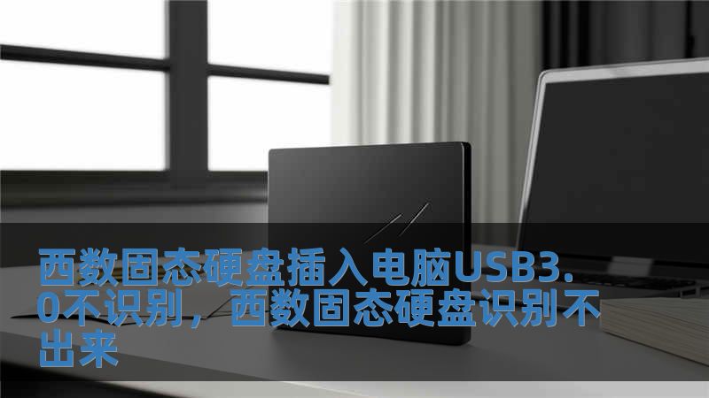 西數(shù)固態(tài)硬盤插入電腦USB3.0不識別，西數(shù)固態(tài)硬盤識別不出來