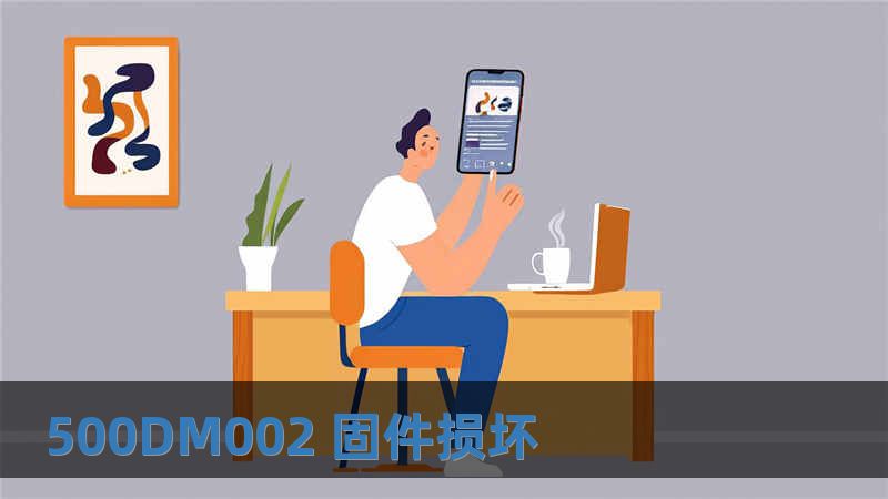 500DM002 固件損壞