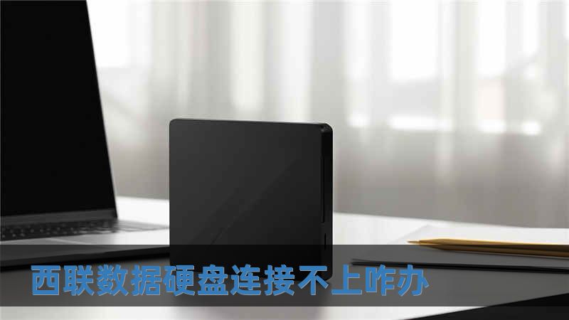 西聯數據硬盤連接不上咋辦
