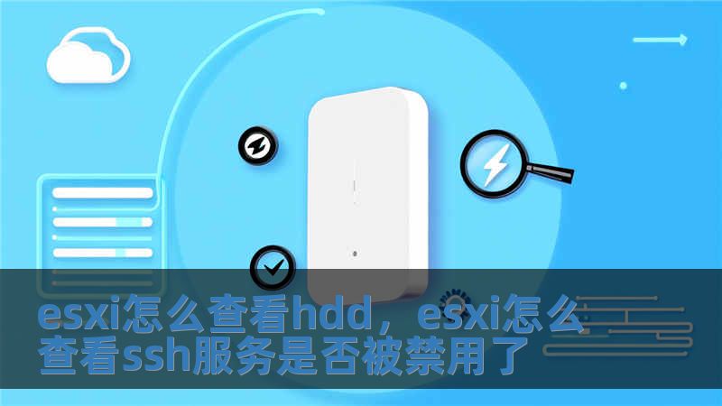 esxi怎么查看hdd，esxi怎么查看ssh服務是否被禁用了
