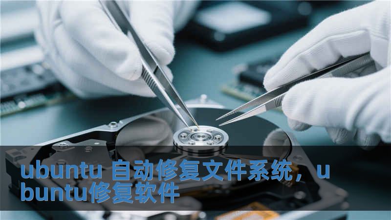 ubuntu 自動修復文件系統，ubuntu修復軟件