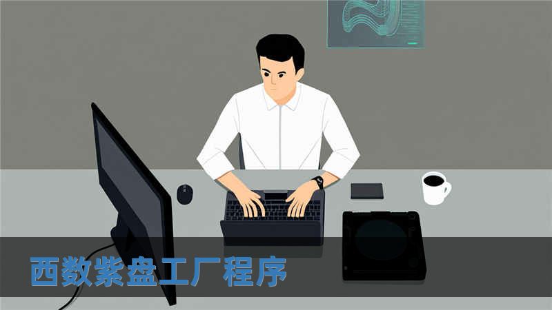 西數紫盤工廠程序