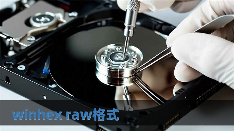 winhex raw格式