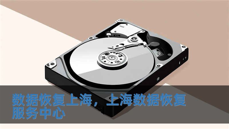 數(shù)據(jù)恢復(fù)上海，上海數(shù)據(jù)恢復(fù)服務(wù)中心
