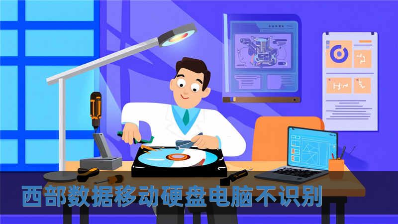 西部數據移動硬盤電腦不識別