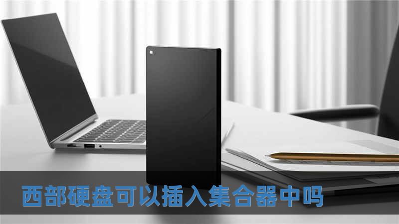 西部硬盤可以插入集合器中嗎