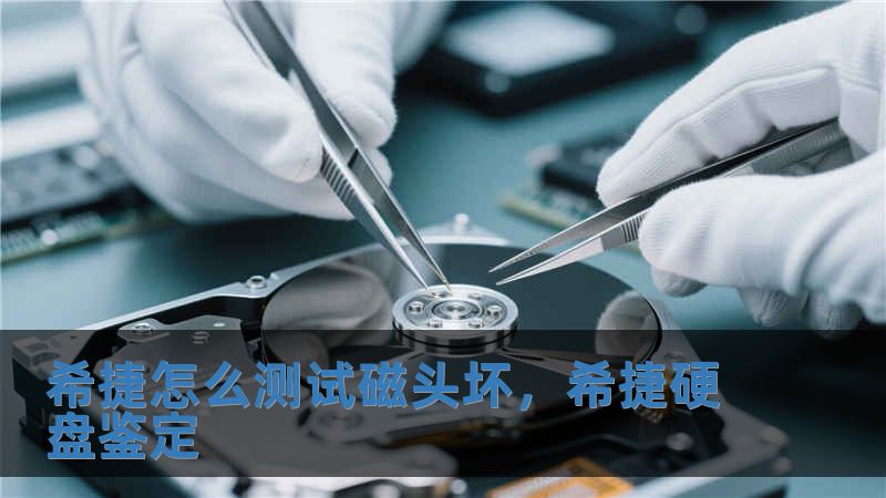 希捷怎么測試磁頭壞，希捷硬盤鑒定