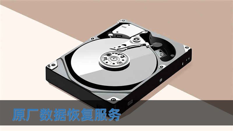 原廠數據恢復服務