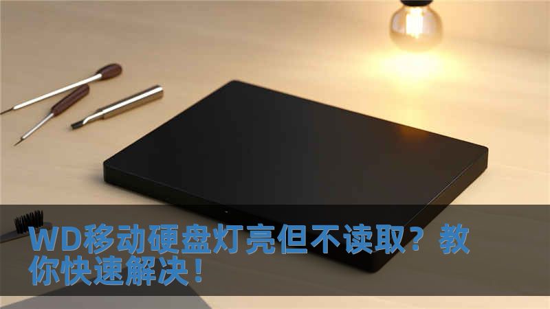 WD移動硬盤燈亮但不讀取？教你快速解決！