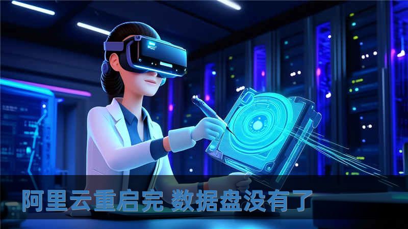 阿里云重啟完 數據盤沒有了