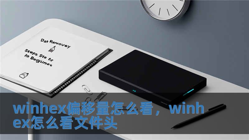 winhex偏移量怎么看，winhex怎么看文件頭
