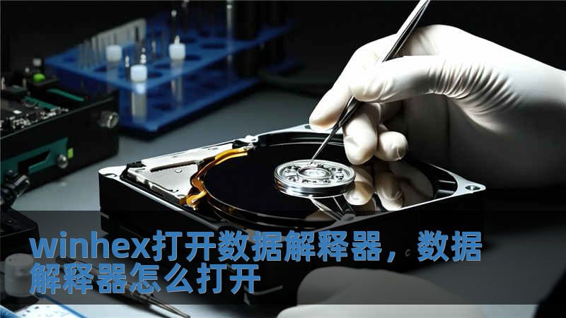 winhex打開數(shù)據(jù)解釋器，數(shù)據(jù)解釋器怎么打開