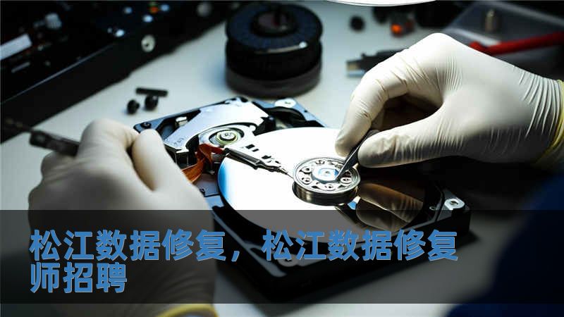 松江數據修復，松江數據修復師招聘
