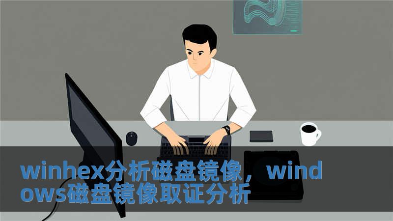 winhex分析磁盤鏡像，windows磁盤鏡像取證分析