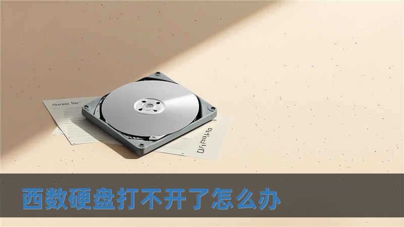 西數(shù)硬盤打不開了怎么辦