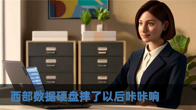 西部數據硬盤摔了以后咔咔響