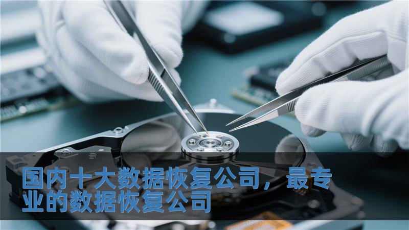 國內(nèi)十大數(shù)據(jù)恢復(fù)公司，最專業(yè)的數(shù)據(jù)恢復(fù)公司