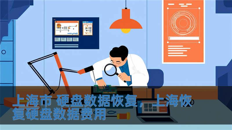上海市 硬盤數(shù)據(jù)恢復(fù)，上?；謴?fù)硬盤數(shù)據(jù)費(fèi)用