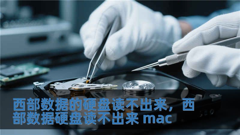 西部數據的硬盤讀不出來，西部數據硬盤讀不出來 mac