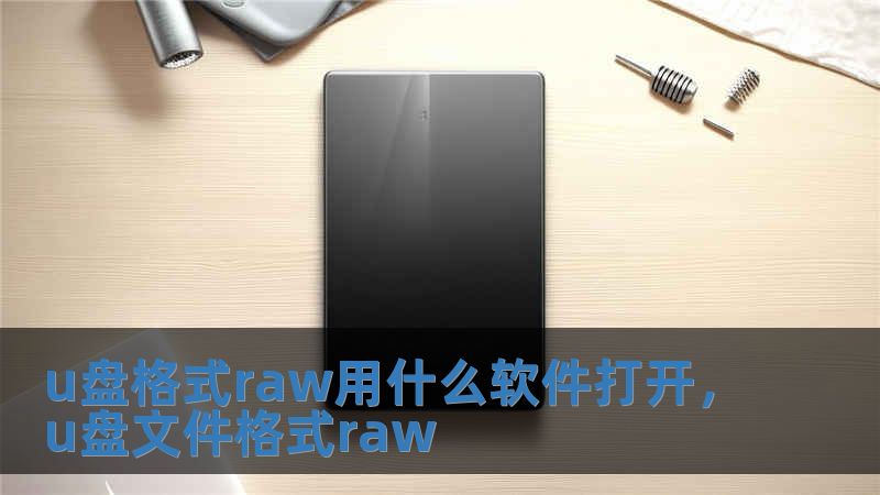 u盤格式raw用什么軟件打開，u盤文件格式raw