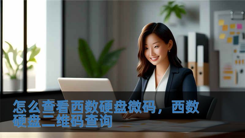 怎么查看西數(shù)硬盤微碼，西數(shù)硬盤二維碼查詢