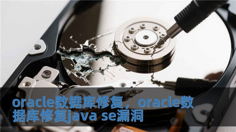 oracle數(shù)據(jù)庫修復(fù)，oracle數(shù)據(jù)庫修復(fù)java se漏洞