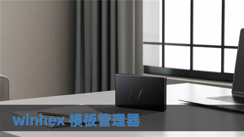 winhex 模板管理器