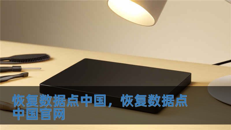 恢復數據點中國，恢復數據點中國官網