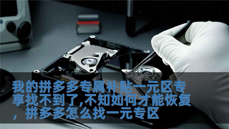 我的拼多多專屬補貼一元區專享找不到了,不知如何才能恢復，拼多多怎么找一元專區