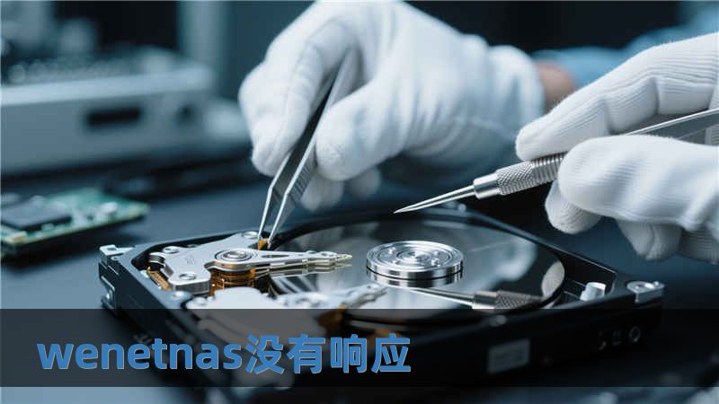 wenetnas沒有響應