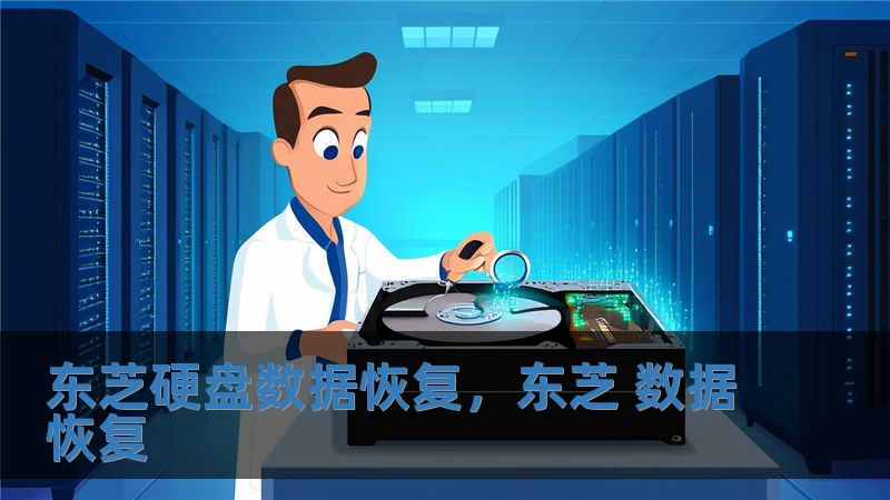 東芝硬盤數據恢復，東芝 數據恢復