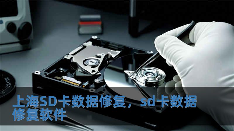 上海SD卡數據修復，sd卡數據修復軟件