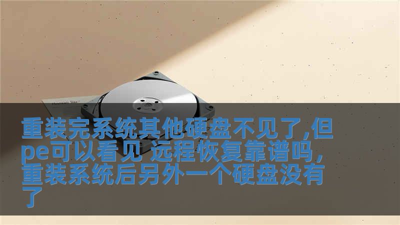 重裝完系統其他硬盤不見了,但pe可以看見 遠程恢復靠譜嗎，重裝系統后另外一個硬盤沒有了