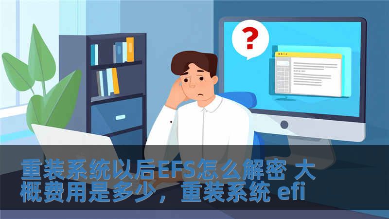 重裝系統以后EFS怎么解密 大概費用是多少，重裝系統 efi