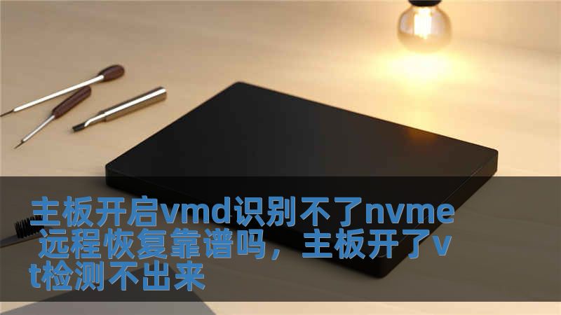 主板開啟vmd識別不了nvme 遠程恢復靠譜嗎，主板開了vt檢測不出來