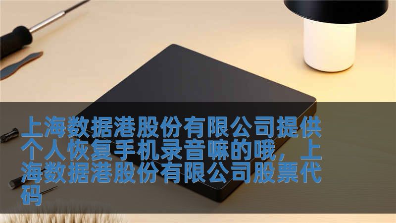 上海數據港股份有限公司提供個人恢復手機錄音嘛的哦，上海數據港股份有限公司股票代碼