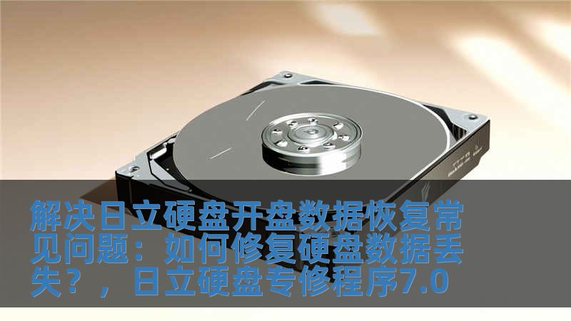 解決日立硬盤開盤數據恢復常見問題：如何修復硬盤數據丟失？，日立硬盤專修程序7.0