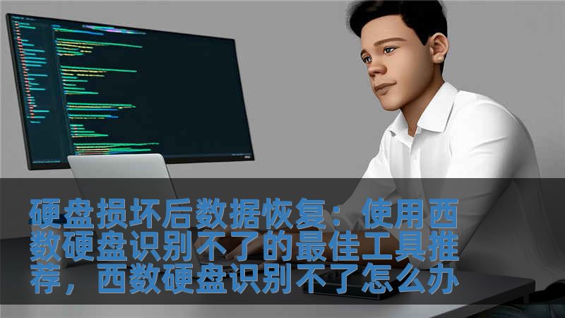 硬盤損壞后數據恢復：使用西數硬盤識別不了的最佳工具推薦，西數硬盤識別不了怎么辦