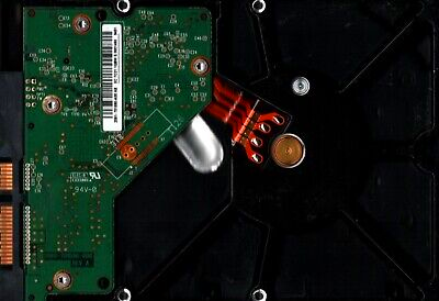 20240907134204_ 20240907134204_