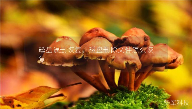 磁盤誤刪恢復(fù)，磁盤刪除文件怎么恢復(fù)