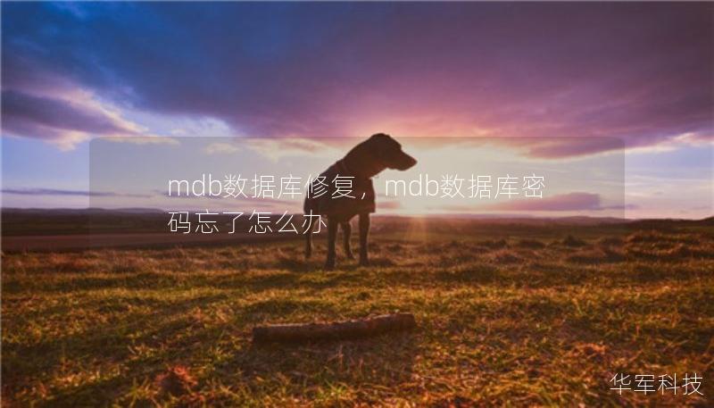 mdb數(shù)據(jù)庫(kù)修復(fù)，mdb數(shù)據(jù)庫(kù)密碼忘了怎么辦