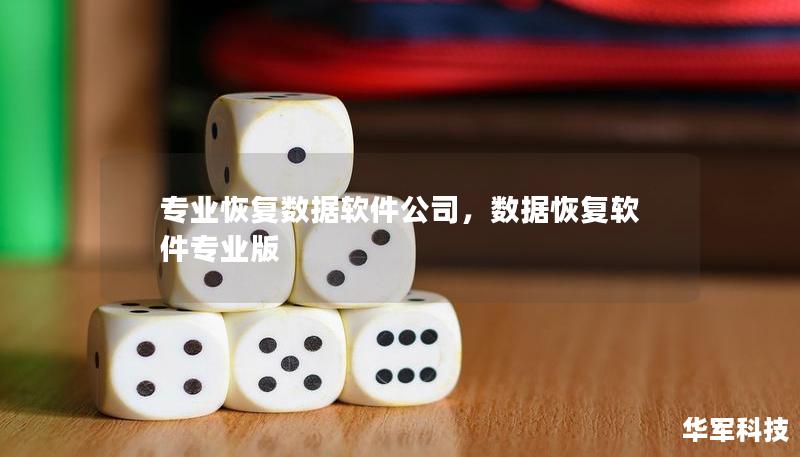 專業恢復數據軟件公司，數據恢復軟件專業版