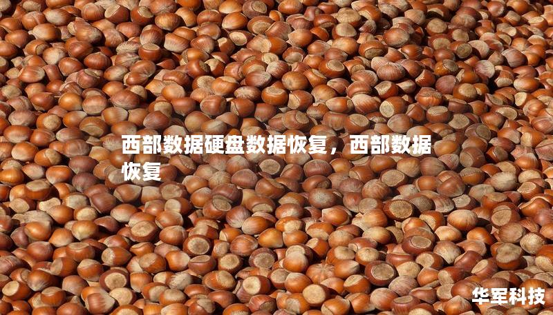 西部數據硬盤數據恢復，西部數據 恢復